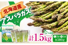 グリーンアスパラガス 1.5kg（Ｌサイズ 500g 2袋・Ｍサイズ 500g )《喜茂別町》【Aコープようてい】 アスパラ アスパラガス 野菜 セット 詰め合わせ 北海道 2025 採れたて 冷蔵配送 冷蔵 [AJAK003] 16000 16000円