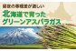 アスパラ アスパラガス 野菜 セット 詰め合わせ 北海道 2025 採れたて 冷蔵配送 冷蔵