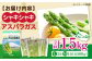 アスパラ アスパラガス 野菜 セット 詰め合わせ 北海道 2025 採れたて 冷蔵配送 冷蔵