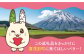 ちゃんこいじゃが＆「ウサパラくん」ぬいぐるみセット じゃがいも お菓子 ぬいぐるみ ゆるキャラ 北海道 お土産 常温 常温配送 
