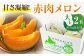 メロン めろん 赤肉メロン 化粧箱入り フルーツ 果物 赤肉 先行予約 常温 常温配送 北海道