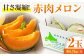 赤肉メロン 2玉  メロン 化粧箱入り フルーツ 果物 赤肉 先行予約 常温 常温 北海道