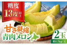 【先行予約】青肉メロン 2玉 《喜茂別町》【ニセコビュープラザ直売会協同組合】 メロン めろん 青肉 青肉メロン 糖度13度以上 化粧箱入り 贈答 贈答用 贈答品 贈り物 先行予約 デザート フルーツ 果物 常温 常温配送 北海道 甘い ギフト プレゼント 産直 贅沢 ぜいたく ご褒美 特別 季節限定 期間限定  [AJAH022] 11000 11000円