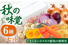 【11月上旬以降順次発送】秋のうまいもん 6種セット《喜茂別町》【ニセコビュープラザ直売会協同組合】 先行予約 セット 詰め合わせ 秋野菜　冬野菜 季節の野菜 たまねぎ じゃがいも 北海道 [AJAH024] 13000 13000円