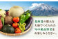 とうもろこし トウモロコシ コーン 先行予約 季節の野菜 夏野菜 野菜 北海道 先行予約 産地直送 甘い 朝どれ 朝採れ 人気