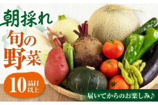 【9月下旬以降順次発送】朝採れ 旬の野菜 10品目 詰め合わせ 《喜茂別町》【ニセコビュープラザ直売会協同組合】 野菜 セット先行予約 夏野菜 秋野菜 季節の野菜 北海道 [AJAH026] 11000 11000円