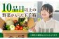 朝採れ 旬の野菜 10品目 詰め合わせ野菜 セット先行予約 夏野菜 秋野菜  北海道 朝採れ 詰め合わせ 