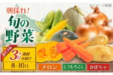 【全3回定期便】【8～10月限定】 朝採れ 旬の野菜 詰め合わせ 《喜茂別町》【ニセコビュープラザ直売会協同組合】 メロン トウモロコシ とうもろこし 定期便 北海道 先行予約 朝採れ [AJAH004] 32000 32000円