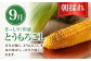 メロン とうもろこし トウモロコシ じゃがいも かぼちゃ 夏野菜 秋野菜 季節の野菜 定期便 先行予約 北海道 人気