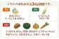 メロン とうもろこし トウモロコシ じゃがいも かぼちゃ 夏野菜 秋野菜 季節の野菜 定期便 先行予約 北海道 人気