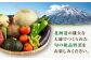 メロン とうもろこし トウモロコシ じゃがいも かぼちゃ 夏野菜 秋野菜 季節の野菜 定期便 先行予約 北海道 人気