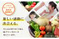 メロン とうもろこし トウモロコシ じゃがいも かぼちゃ 夏野菜 秋野菜 季節の野菜 定期便 先行予約 北海道 人気