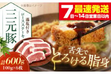 三元豚 ロースステーキ 6枚（100g/枚）  藻塩付き 《喜茂別町》【平田牧場】肉 豚肉 ロース ステーキ ステーキ用 とんかつ トンテキ 生姜焼き 冷蔵配送 北海道 [AJAP003] 13000 13000円