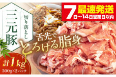 三元豚 切り落とし 計1kg（500g×2パック） 《喜茂別町》【平田牧場】 肉 豚肉 生姜焼き 小分け 冷凍 冷凍配送 北海道 [AJAP005] 11000 11000円