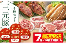 三元豚 ロース・バラ・肩ロースブロック各600g・ひき肉計600g（300g×2パック） 《喜茂別町》【平田牧場】 肉 豚肉 ブロック ステーキ ステーキ用 ロース ロースステーキ バラ 肩ロース 北海道 [AJAP010] 29000 29000円
