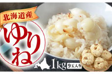 【先行予約】ゆり根 1kg（9玉・ギフト箱入り）※2025年11月中旬以降順次発送《喜茂別町》　【Aコープようてい】 ユリ根 ユリネ 北海道 季節の野菜 冬野菜 ギフト プレゼント 産地直送