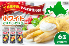 【先行予約】 ホワイトアスパラガス 6缶《喜茂別町》【きもべつ観光協会】 アスパラ アスパラガス ホワイトアスパラ 缶詰 缶 サラダ 北海道 常温 常温配送 [AJAG011] 20000 20000円 2万円