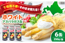 【先行予約】 ホワイトアスパラガス 6缶《喜茂別町》【きもべつ観光協会】 アスパラ アスパラガス ホワイトアスパラ 缶詰 缶 サラダ 北海道 常温 常温配送 [AJAG011] 20000 20000円 2万円