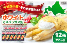 【先行予約】 ホワイトアスパラガス 12缶《喜茂別町》【きもべつ観光協会】 アスパラ アスパラガス ホワイトアスパラ 缶詰 缶 サラダ 北海道 常温 常温配送 [AJAG012] 40000 40000円 4万円
