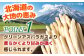 ホワイトアスパラガス 12缶 アスパラ アスパラガス ホワイトアスパラ 缶詰 缶 サラダ 北海道 常温 常温配送 