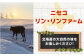 クリスピーチーズ10袋チーズ つまみ おつまみ 北海道 ビール ワイン 肴 常温 常温  定期便