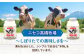 のむヨーグルト 小(150ml×20本) ヨーグルト 飲むヨーグルト 牛乳 ミルク   飲み物 ドリンク  定期便