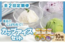 【全2回定期便】ミルク工房 カップアイスセット（130ml×10個）《喜茂別町》【ニセコリゾート観光協会】 アイス アイスクリーム ジェラート ミルク 抹茶 ブルーベリー 詰め合わせ 冷凍配送 北海道 [AJAI055] 22000 22000円