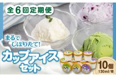 【全6回定期便】ミルク工房 カップアイスセット（130ml×10個）《喜茂別町》【ニセコリゾート観光協会】 アイス アイスクリーム ジェラート ミルク 抹茶 ブルーベリー 詰め合わせ 冷凍配送 北海道 [AJAI057] 66000 66000円
