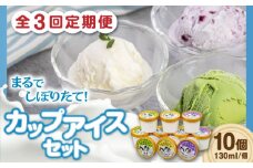 【全3回定期便】ミルク工房 カップアイスセット（130ml×10個）《喜茂別町》【ニセコリゾート観光協会】 アイス アイスクリーム ジェラート ミルク 抹茶 ブルーベリー 詰め合わせ 冷凍配送 北海道 [AJAI056] 33000 33000円