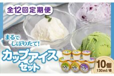 【全12回定期便】ミルク工房 カップアイスセット（130ml×10個）《喜茂別町》【ニセコリゾート観光協会】 アイス アイスクリーム ジェラート ミルク 抹茶 ブルーベリー 詰め合わせ 冷凍配送 北海道 [AJAI058] 132000 132000円