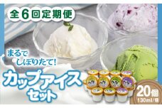【全6回定期便】ミルク工房 カップアイスセット（130ml×20個）《喜茂別町》【ニセコリゾート観光協会】 アイス アイスクリーム ジェラート ミルク 抹茶 ブルーベリー 詰め合わせ 冷凍配送 北海道 [AJAI061] 120000 120000円 12万円