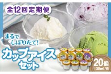 【全12回定期便】ミルク工房 カップアイスセット（130ml×20個）《喜茂別町》【ニセコリゾート観光協会】 アイス アイスクリーム ジェラート ミルク 抹茶 ブルーベリー 冷凍 冷凍配送 北海道 [AJAI062] 240000 240000円 24万円