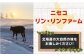 クリスピーチーズ5袋チーズ つまみ おつまみ 北海道 ビール ワイン 肴 常温 常温 定期便