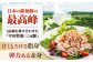 三元豚 切り落とし 計1kg（500g×2パック) 肉 豚肉  冷凍配送 定期便 