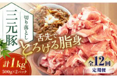 【全12回定期便】 三元豚 切り落とし 計1kg（500g×2パック） 《喜茂別町》【平田牧場】 肉 豚肉 生姜焼き 小分け 冷凍 冷凍配送 定期便 北海道 [AJAP033] 132000 132000円