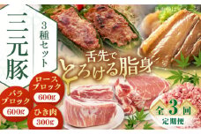 【全3回定期便】 三元豚 ロース・バラブロック各600g・ひき肉300g 《喜茂別町》【平田牧場】 肉 豚肉 ブロック ステーキ ステーキ用 ロース ロースステーキ バラ とんかつ ミンチ 豚ミンチ 北海道 [AJAP047] 54000 54000円