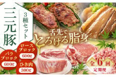 【全6回定期便】 三元豚 ロース・バラブロック各600g・ひき肉300g 《喜茂別町》【平田牧場】 肉 豚肉 ブロック ステーキ ステーキ用 ロース ロースステーキ バラ とんかつ ミンチ 豚ミンチ 北海道 [AJAP048] 108000 108000円
