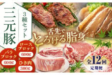 【全12回定期便】 三元豚 ロース・バラブロック各600g・ひき肉300g 《喜茂別町》【平田牧場】 肉 豚肉 ブロック ステーキ ステーキ用 ロース ロースステーキ バラ とんかつ ミンチ 豚ミンチ 北海道 [AJAP049] 216000 216000円