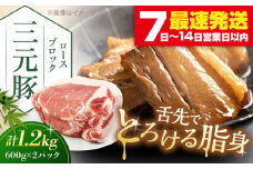 平田牧場 ロースブロック 1.2kg (600g×2P) 《喜茂別町》【平田牧場】 肉 豚肉 ロース ブロック ローストポーク 煮豚 酢豚 煮物 冷凍配送 北海道 平田牧場 三元豚 [AJAP071] 18000 18000円