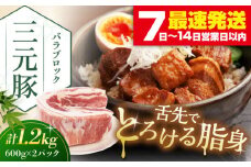 平田牧場 バラブロック1.2kg (600g×2P) 《喜茂別町》【平田牧場】  豚肉 ブロック 豚バラブロック 焼肉 国産 北海道 ブロック肉 特産品 ぶた肉 バラ 冷凍 [AJAP073] 13000 13000円