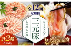 【全12回定期便】三元豚 しゃぶしゃぶセット 計500g（ロース・バラ） だし・昆布ナシ 《喜茂別町》【平田牧場】 肉 豚肉 ロース バラ ロース肉 バラ肉 しゃぶしゃぶ 鍋 お鍋 冷凍配送 北海道 [AJAP081] 108000 108000円