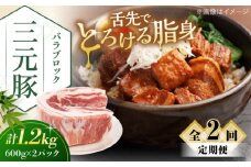 【全2回定期便】三元豚 バラブロック1.2kg（600g×2パック）《喜茂別町》【平田牧場】 肉 豚肉 バラ ブロック 煮豚 酢豚 煮物 冷凍配送 北海道 [AJAP106] 26000 26000円