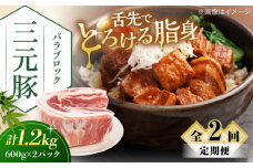 【全2回定期便】平田牧場 バラブロック 1.2kg (600g×2P) 《喜茂別町》【平田牧場】 肉 豚肉 バラ ブロック 煮豚 酢豚 煮物 冷凍配送 定期便 定期 北海道 平田牧場 三元豚 [AJAP106] 26000 26000円