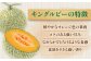 メロン 赤肉 赤肉メロン 数量限定 化粧箱入り 贈答用 先行予約 フルーツ 果物 常温 常温配送 北海道