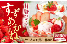 すずあかね 600g（300g×2トレー）《喜茂別町》【永島農園】 イチゴ いちご 苺 フルーツ 果物 季節限定 期間限定 冷蔵発送 [AJAR001] 9000 9000円