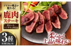 鹿肉 ステーキ3種セット（背ロース120g×2枚・シンタマ120g×2枚・内もも120g×2枚）《喜茂別町》【EBIJIN】 ジビエ 鹿 モモ セット 詰め合わせ ステーキ 赤身 冷凍配送 北海道 [AJAO005] 44000 44000円