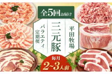 【全5回定期便】 三元豚 バラエティ定期便（2~3人前）《喜茂別町》【平田牧場】 肉 豚肉 ロース バラ肉 ステーキ セット 定期便 [AJAP126]