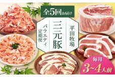 【全5回定期便】三元豚 バラエティ定期便（3~4人前）《喜茂別町》【平田牧場】 肉 豚肉 ロース バラ肉 ステーキ セット 定期便 [AJAP127]