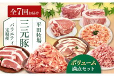 【全7回定期便】三元豚 バラエティ定期便 （ボリュームセット） 《喜茂別町》【平田牧場】 肉 豚肉 ロース バラ肉 ステーキ セット 定期便 [AJAP128]