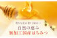 はちみつ とち蜜 500g×2本 はちみつ 蜂蜜 ハチミツ 国産はちみつ ハニー
